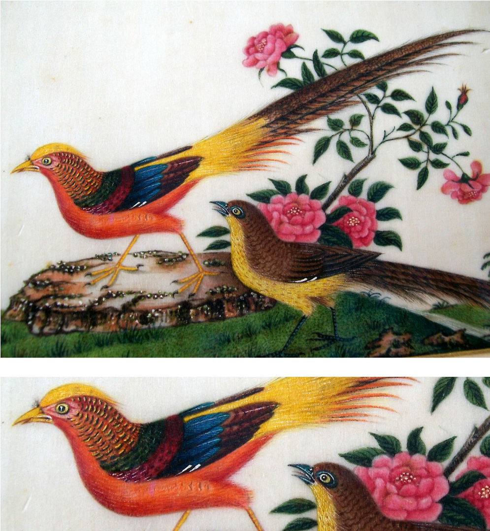 Qing-dynasty-1644-1911-Chinese-pit-paper-painting-depicting-gold-pheasant